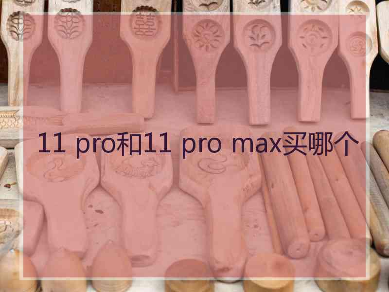 11 pro和11 pro max买哪个