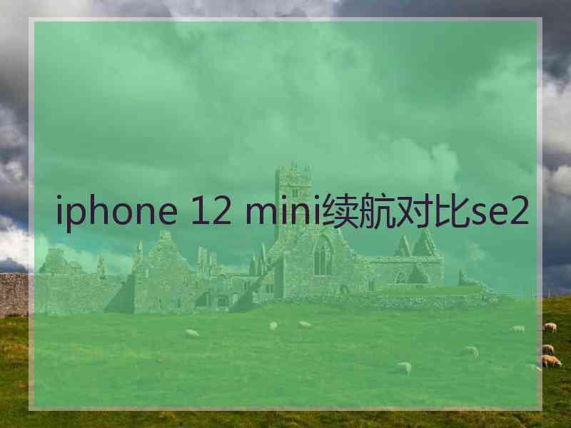 iphone 12 mini续航对比se2