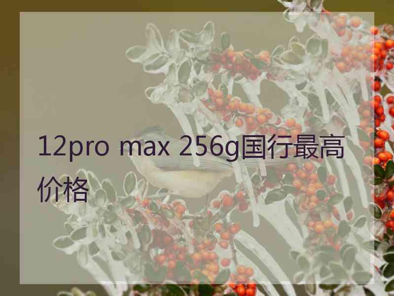 12pro max 256g国行最高价格