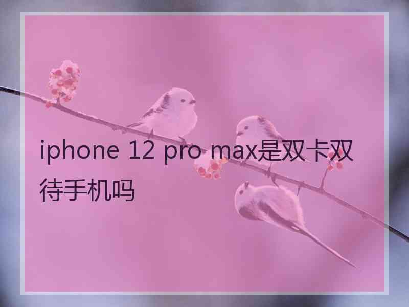 iphone 12 pro max是双卡双待手机吗