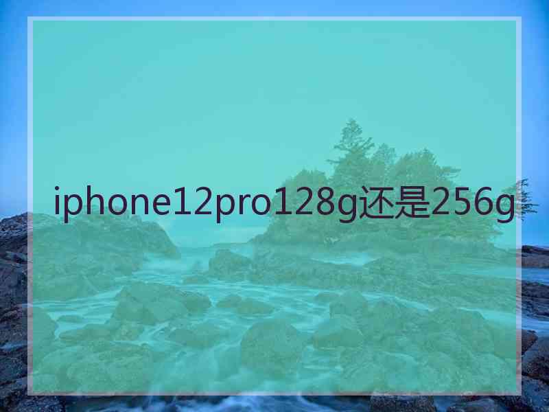 iphone12pro128g还是256g