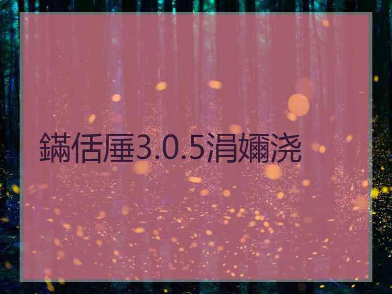 鏋佸厜3.0.5涓嬭浇