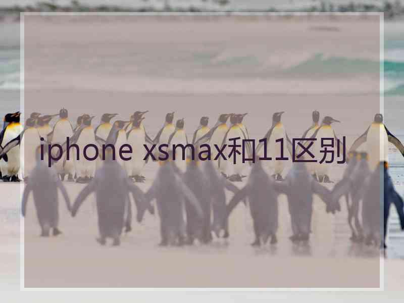 iphone xsmax和11区别