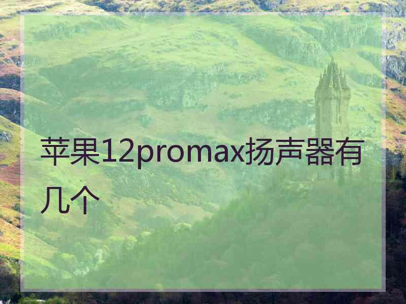 苹果12promax扬声器有几个