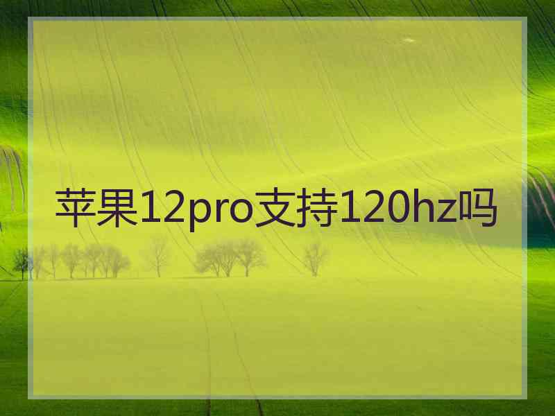 苹果12pro支持120hz吗