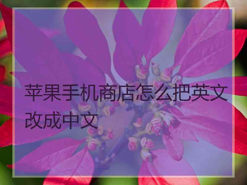 苹果手机商店怎么把英文改成中文