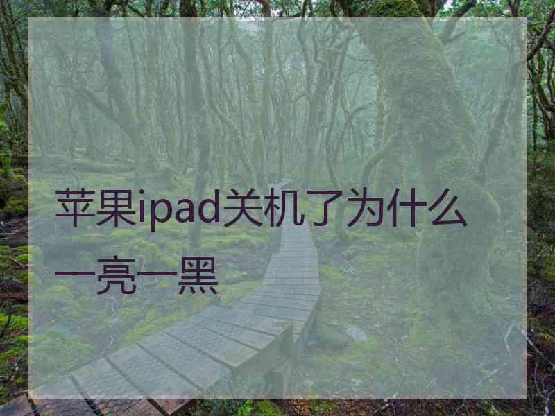 苹果ipad关机了为什么一亮一黑