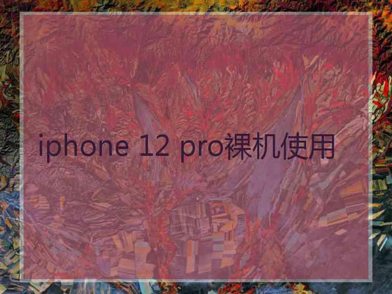 iphone 12 pro裸机使用