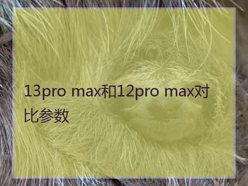 13pro max和12pro max对比参数