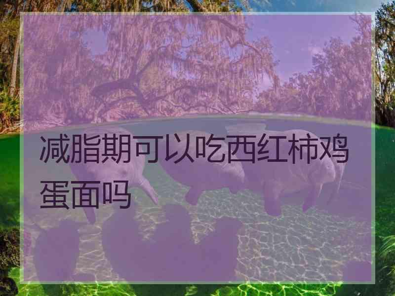 减脂期可以吃西红柿鸡蛋面吗