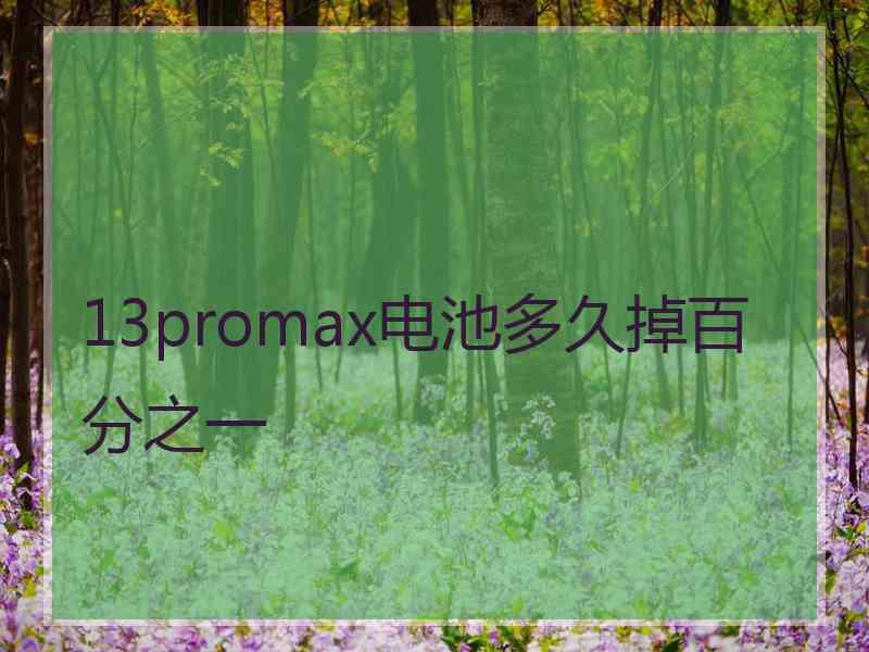 13promax电池多久掉百分之一