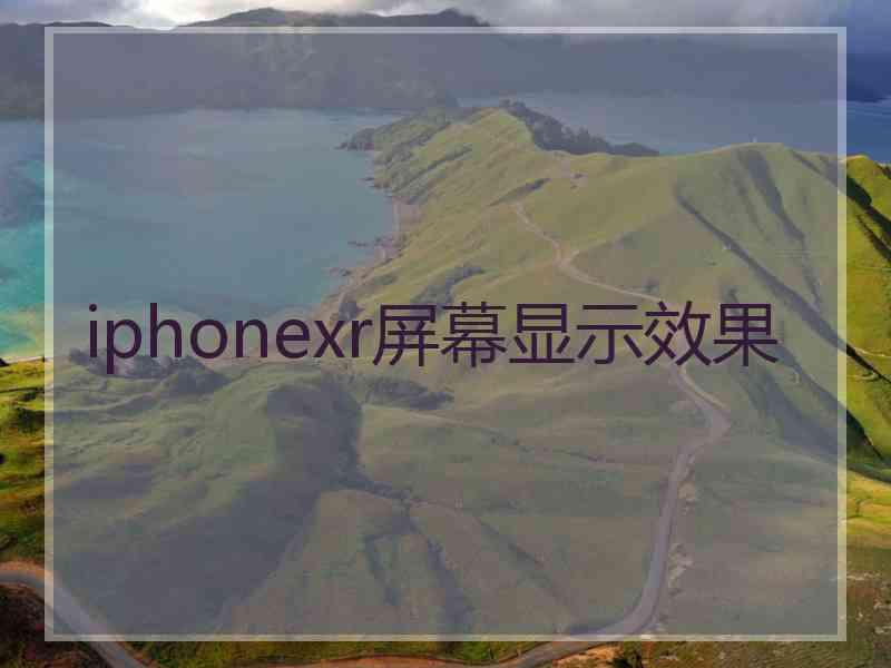 iphonexr屏幕显示效果