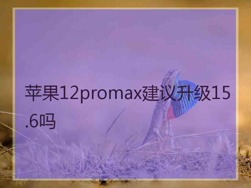 苹果12promax建议升级15.6吗