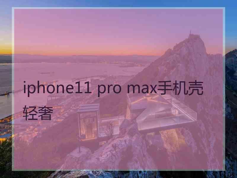 iphone11 pro max手机壳轻奢