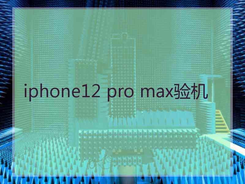 iphone12 pro max验机