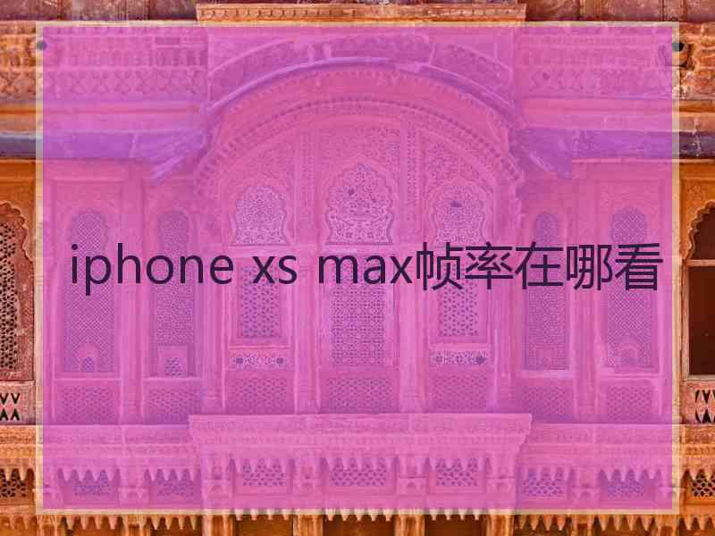 iphone xs max帧率在哪看