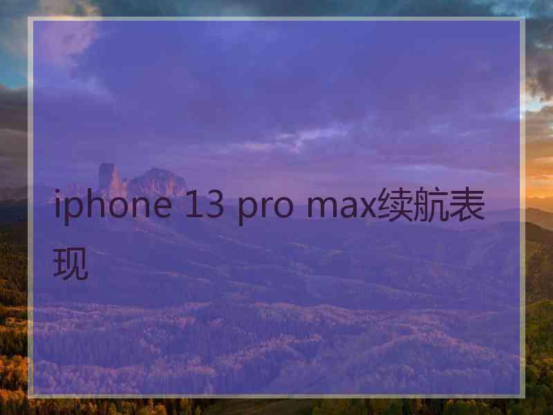 iphone 13 pro max续航表现