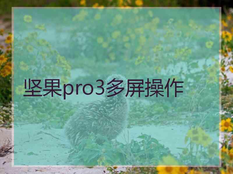 坚果pro3多屏操作