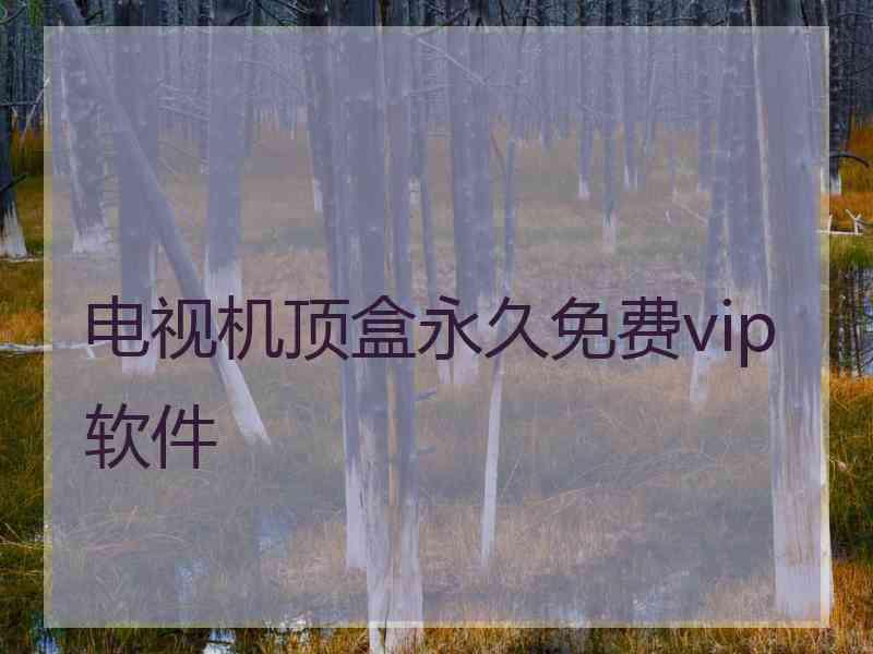 电视机顶盒永久免费vip软件