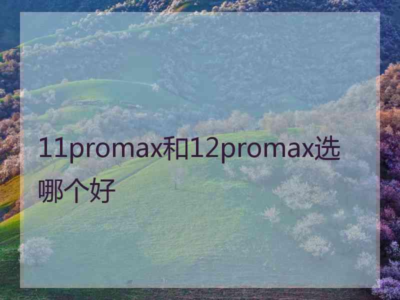 11promax和12promax选哪个好