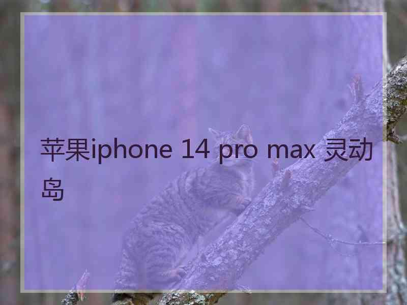 苹果iphone 14 pro max 灵动岛