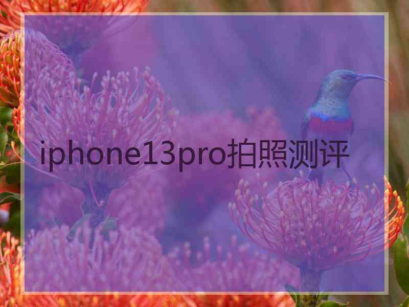 iphone13pro拍照测评