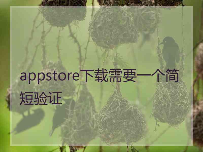 appstore下载需要一个简短验证