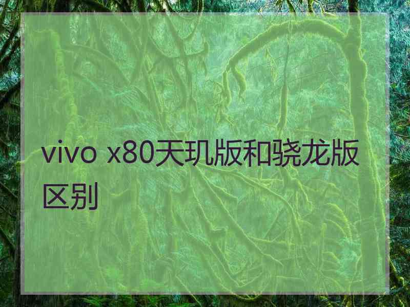 vivo x80天玑版和骁龙版区别