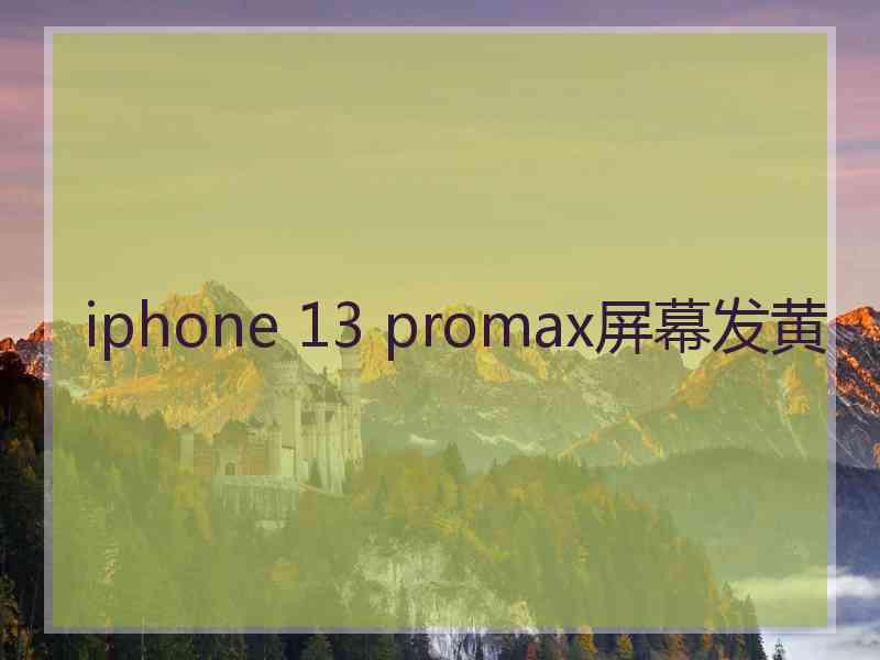 iphone 13 promax屏幕发黄