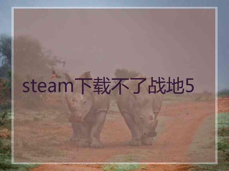 steam下载不了战地5