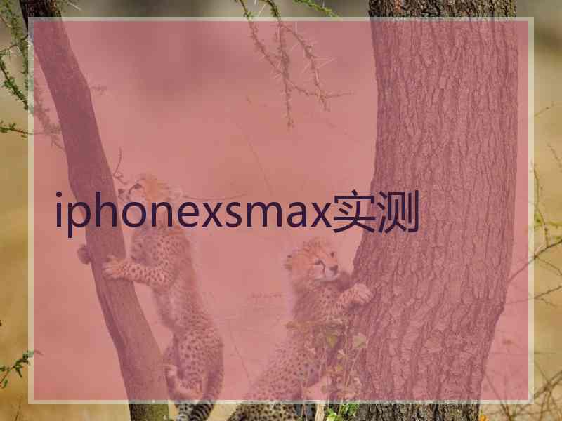 iphonexsmax实测