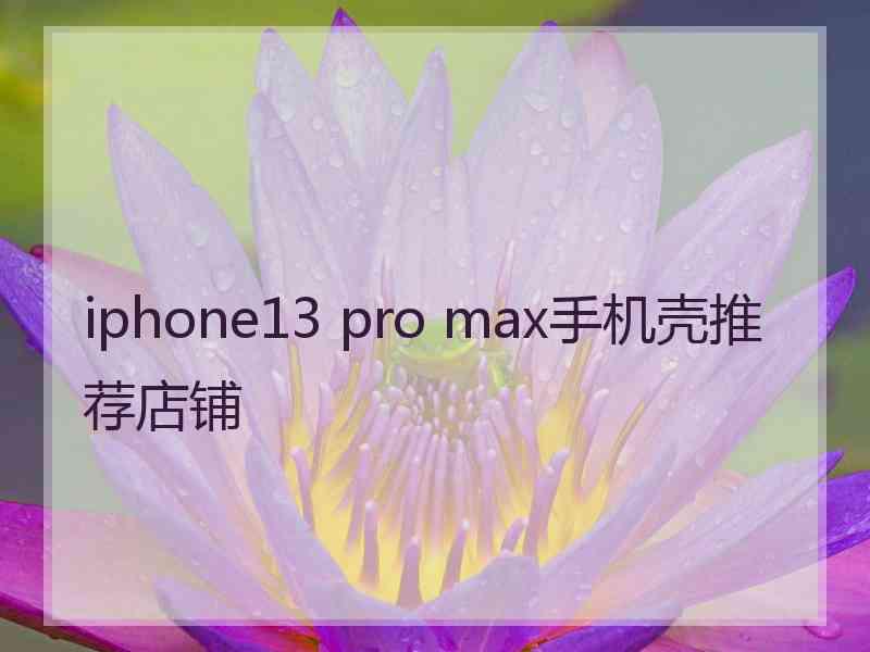 iphone13 pro max手机壳推荐店铺