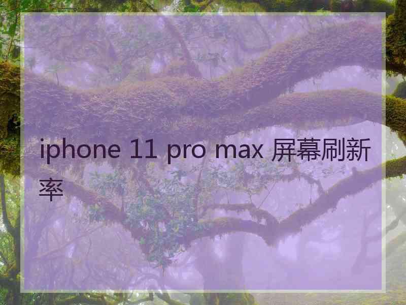 iphone 11 pro max 屏幕刷新率