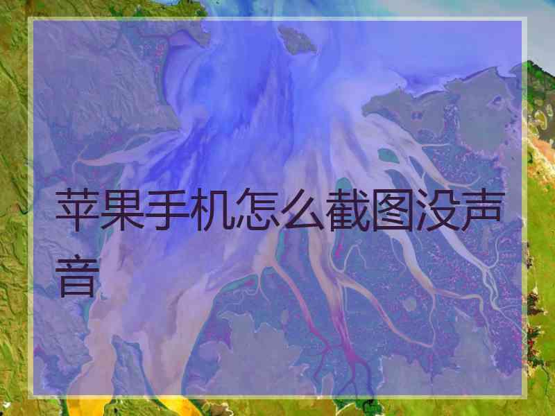 苹果手机怎么截图没声音