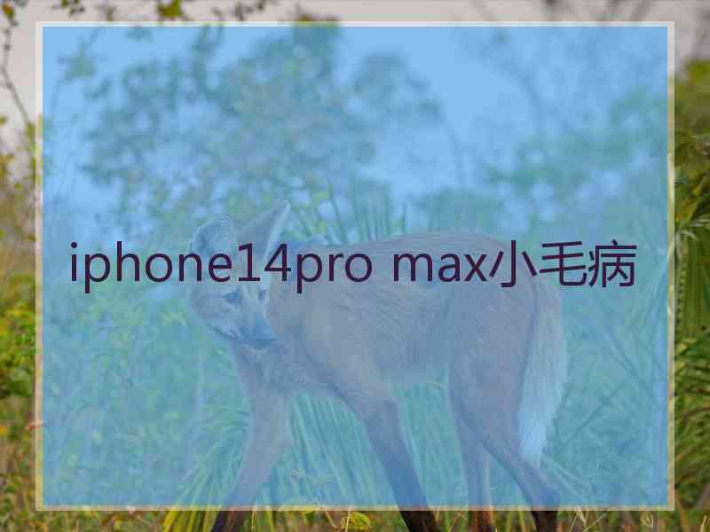 iphone14pro max小毛病