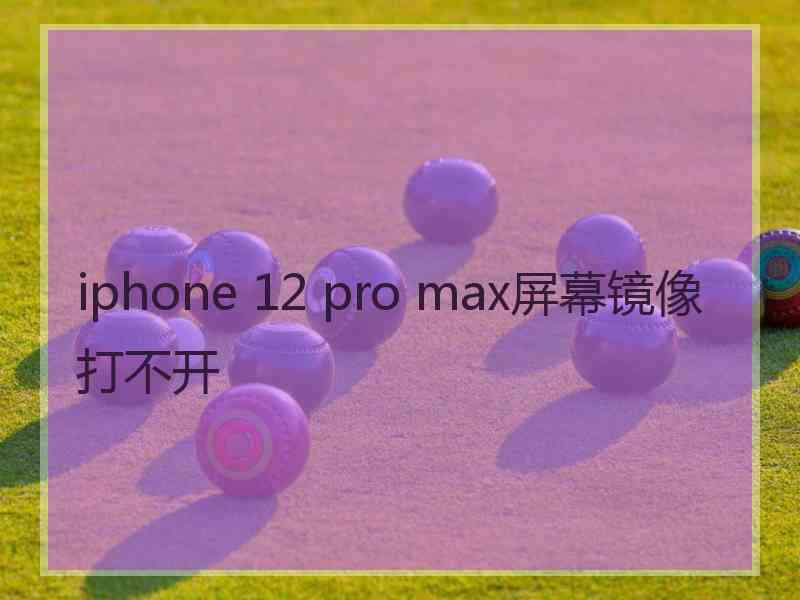 iphone 12 pro max屏幕镜像打不开