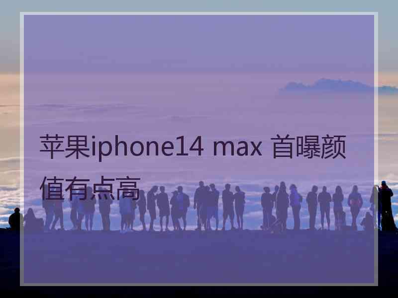 苹果iphone14 max 首曝颜值有点高