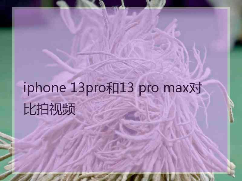 iphone 13pro和13 pro max对比拍视频