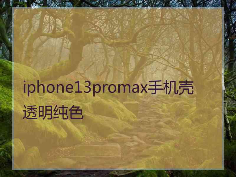 iphone13promax手机壳透明纯色