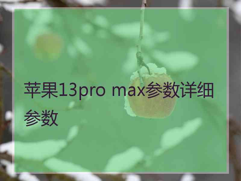 苹果13pro max参数详细参数