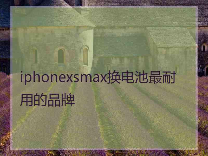 iphonexsmax换电池最耐用的品牌