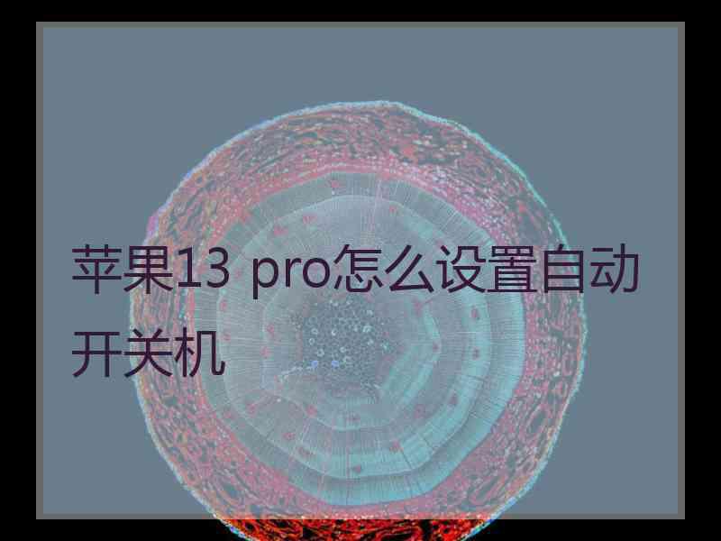 苹果13 pro怎么设置自动开关机