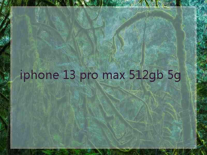 iphone 13 pro max 512gb 5g