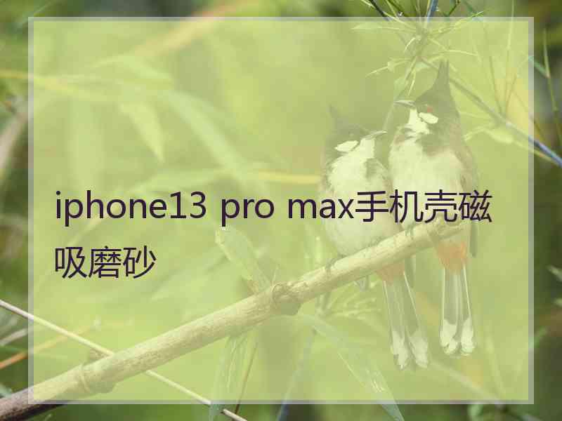 iphone13 pro max手机壳磁吸磨砂