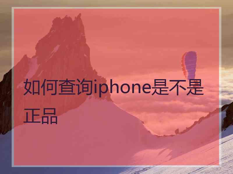 如何查询iphone是不是正品