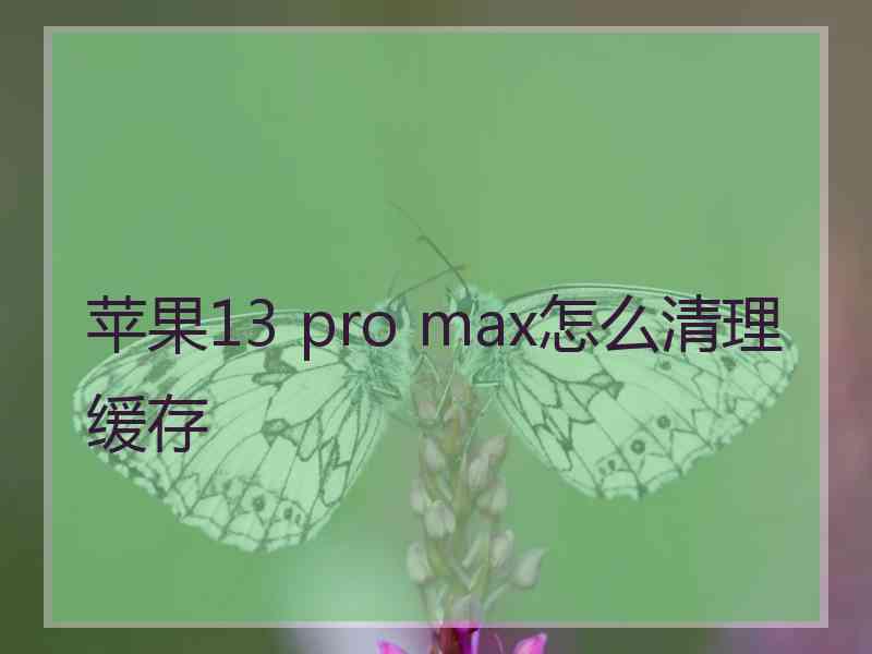 苹果13 pro max怎么清理缓存