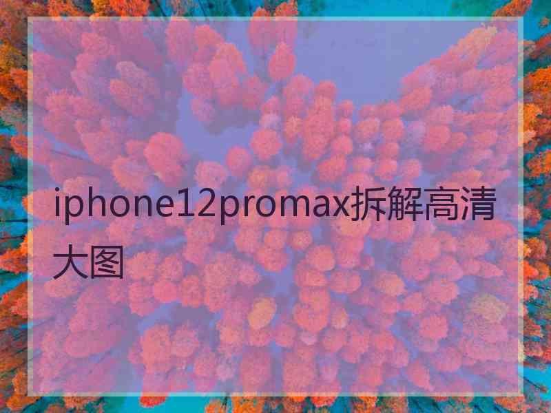 iphone12promax拆解高清大图