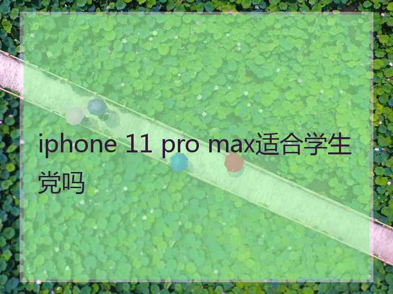 iphone 11 pro max适合学生党吗