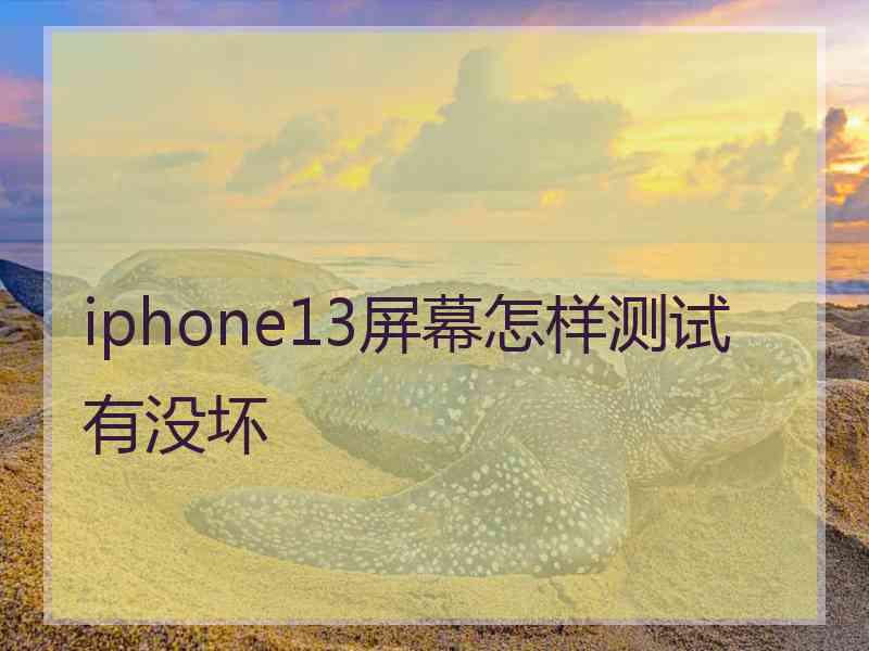 iphone13屏幕怎样测试有没坏