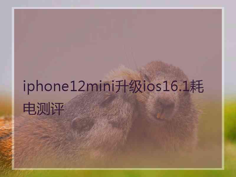 iphone12mini升级ios16.1耗电测评